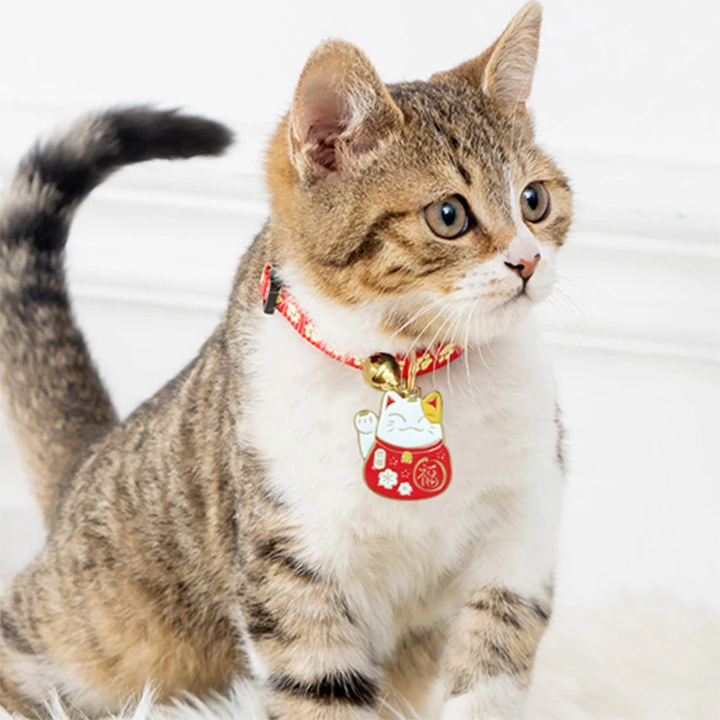 猫咪项圈铃铛可爱猫防丢反光发光夜光宠物项圈可调节防窒息安全扣