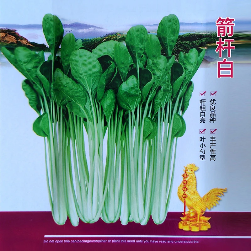 箭杆白奶油高杆白菜种子秋季菜园种植生长抗寒高腿青腌渍酸菜泡菜