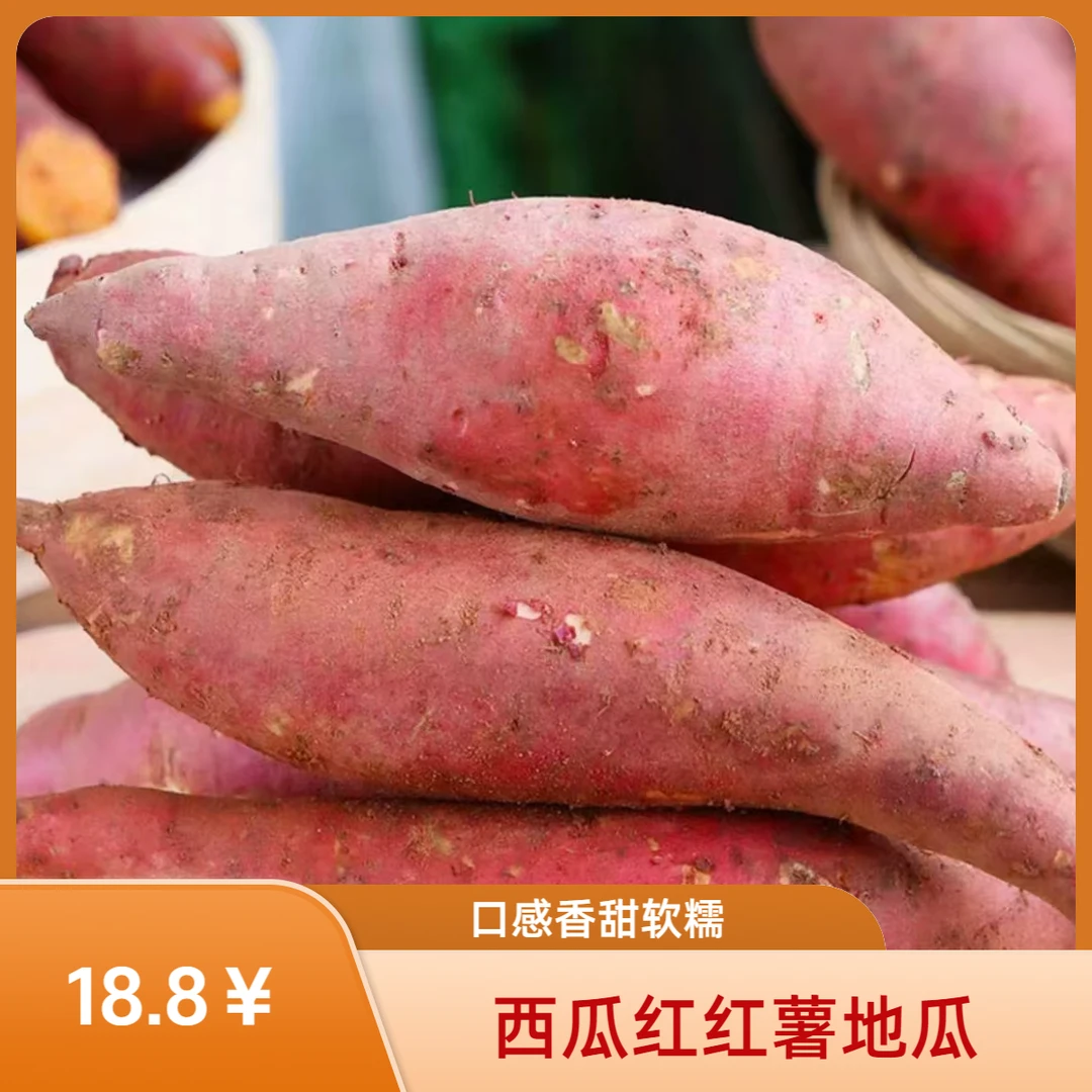 正宗沙地西瓜红红薯地瓜皮薄香甜肉厚包赔发货