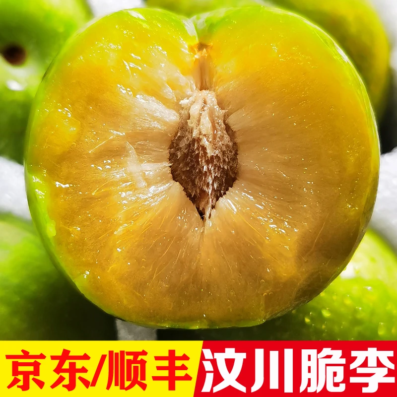 （京东顺丰发货）四川李子阿坝州红脆李汶川青脆李脱骨李脆甜3斤5斤