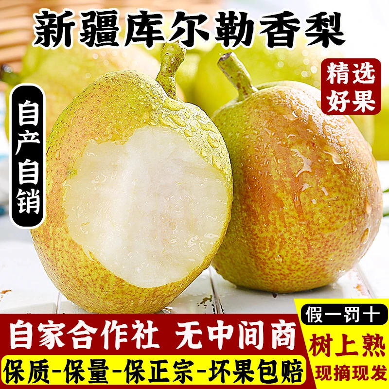 【新疆中通】新疆库尔勒香梨脆甜爆汁 新鲜鲜甜 净重5-9斤