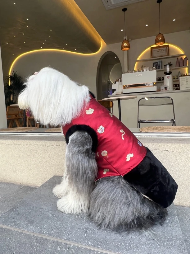 大狗棉衣厚款狗狗色织重工提花中大型犬衣服金锁链接联系客服