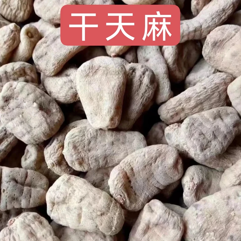 干天麻果 老天麻牛庄高海拔干乌天麻非新鲜天麻