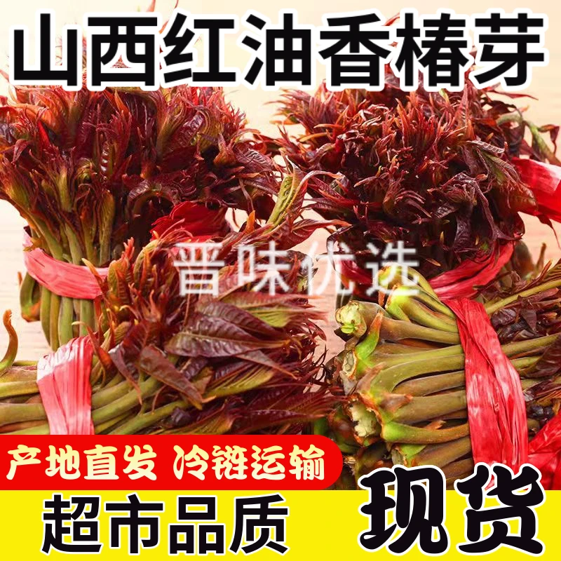 山西红油香椿露地红香椿包邮现摘现发应季蔬菜