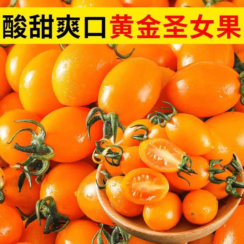 黄色圣女果四季樱桃小番茄种子蔬菜西红柿种子阳台庭院圣女果种子