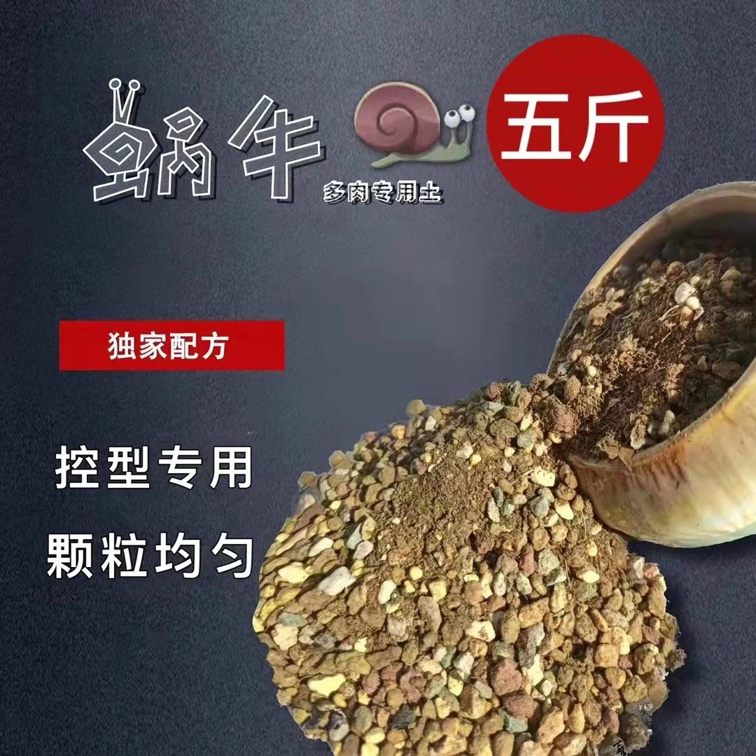 ［美玲推荐］蜗牛多肉植物颗粒土软硬颗粒比例搭配