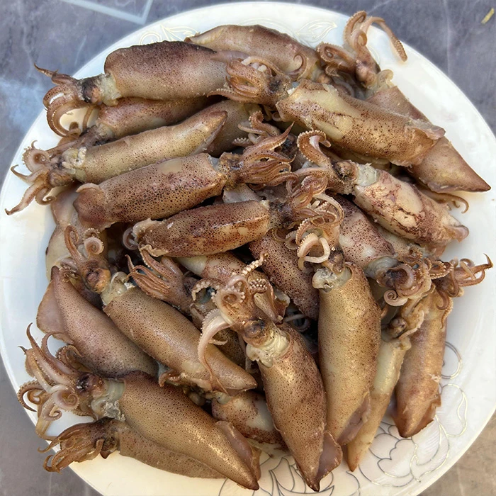 海兔干海兔子小海兔海兔子小鱿鱼仔大笔管鱼小海兔乌贼干海兔