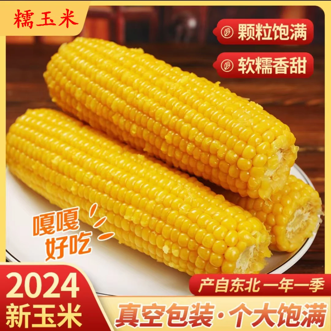 2024年头茬东北黄糯玉米软糯粘香10支整箱5-5.5斤（试吃两支）
