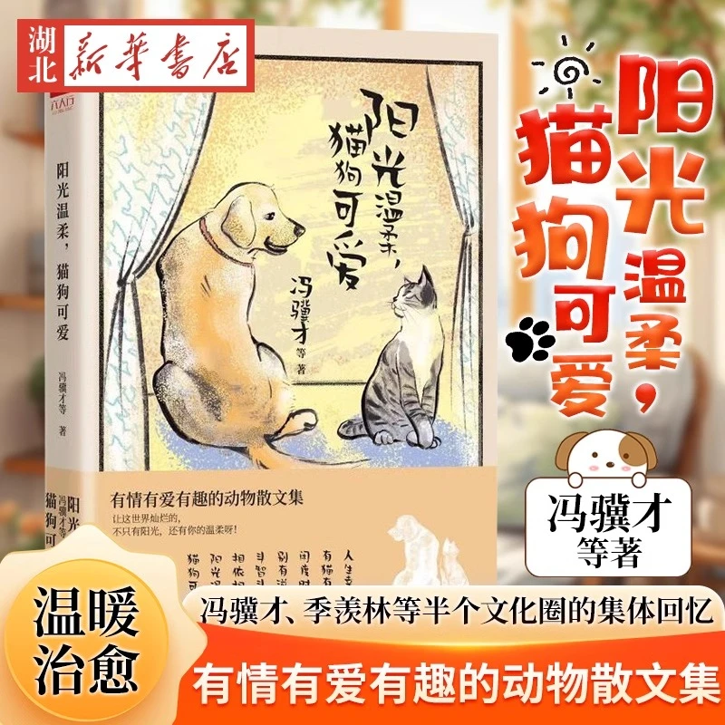阳光温柔 猫狗可爱 治愈系生活散文冯骥才