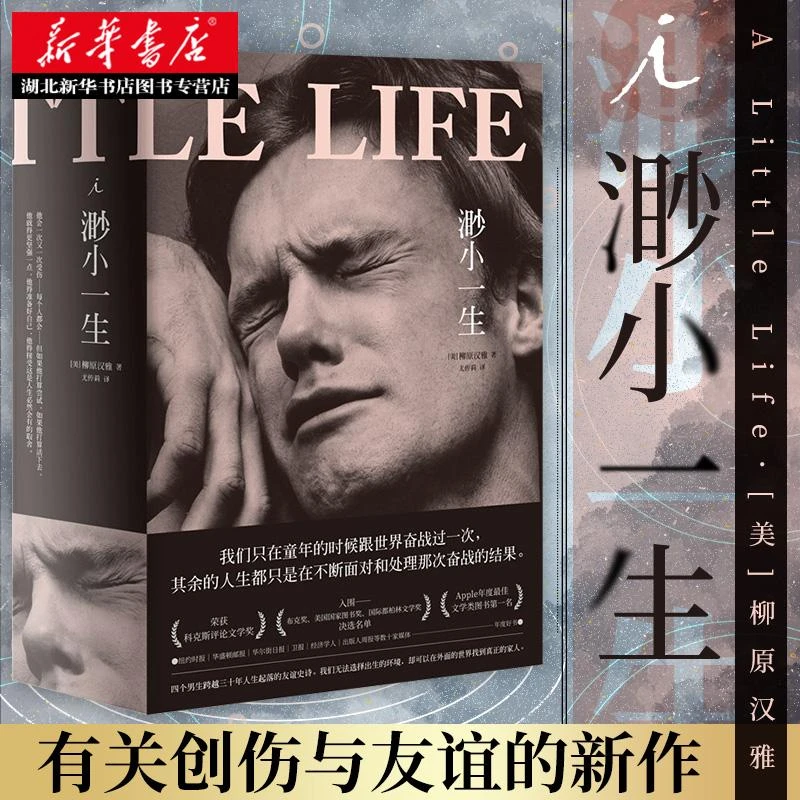 正版包邮  渺小一生 柳原汉雅著 四个男生跨越三十年人生起落的友