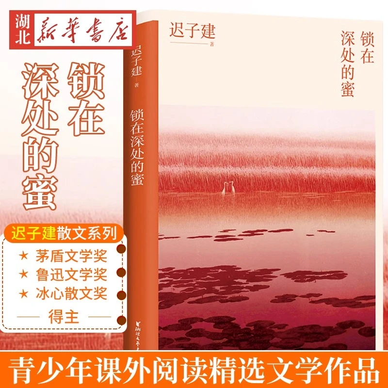 锁在深处的蜜 迟子建散文系列 新版 中国现当代随笔经典散文集