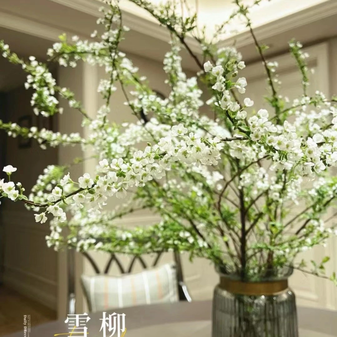 雪柳室内水培爆花强品种优质花春夏秋易养护发芽发货花卉植物