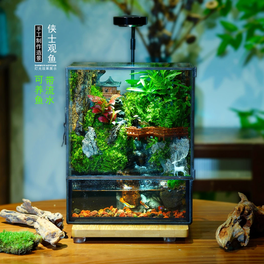 苔藓微景观雨林缸流水生态瓶室内绿植办公桌装饰微景观生态缸