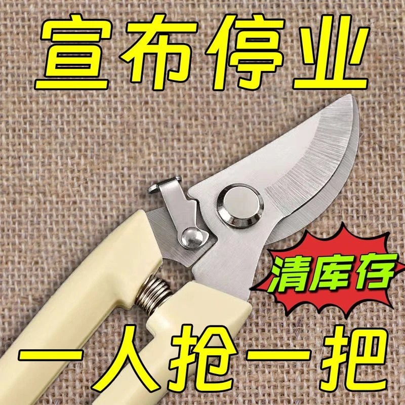 果树剪修枝剪刀钢剪树剪子家用花木葡萄修剪镐斧强力嫁接园艺剪子