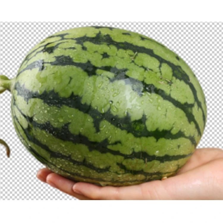 甜脆小西瓜（约三斤）