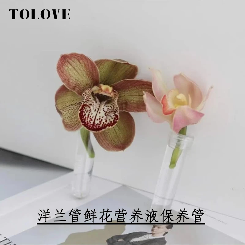 TOLOVE  洋兰管鲜花营养液保养管  鲜花包装材料