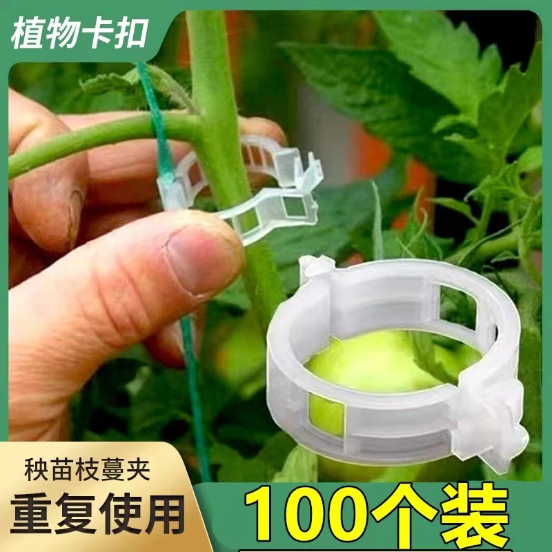 【工厂直销9.9元100个】果树绿植固定卡扣挂钩花盆重力钩家用