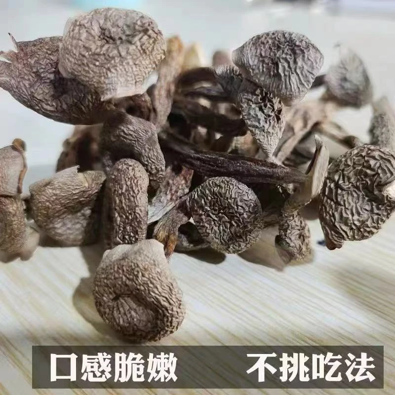 【云南鹿茸菇】鹿茸菇干货炒菜下饭人工挑选