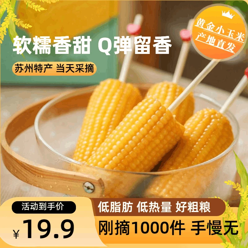 [坏果包赔 现采现发]江苏常熟软糯香甜黄金小玉米新鲜带壳1斤净重