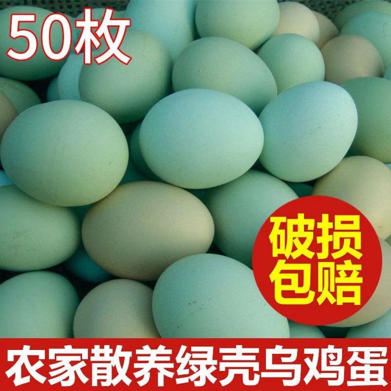 乌鸡蛋一整箱散养新鲜原生态林下散养绿壳初生蛋孕妇营养月子蛋