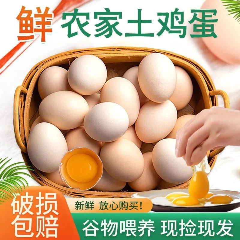 散养土鸡蛋当日新鲜鸡蛋孕妇月子食用土鸡蛋零饲料零激素笨鸡蛋