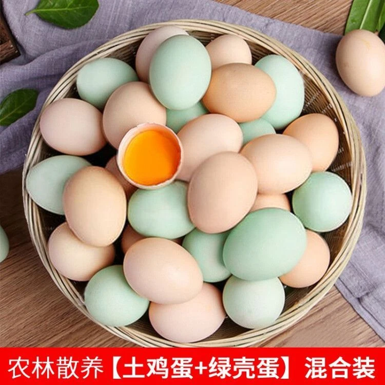 实惠新鲜土鸡蛋正宗乌鸡蛋散养混合青皮绿壳蛋新鲜粉壳柴鸡蛋