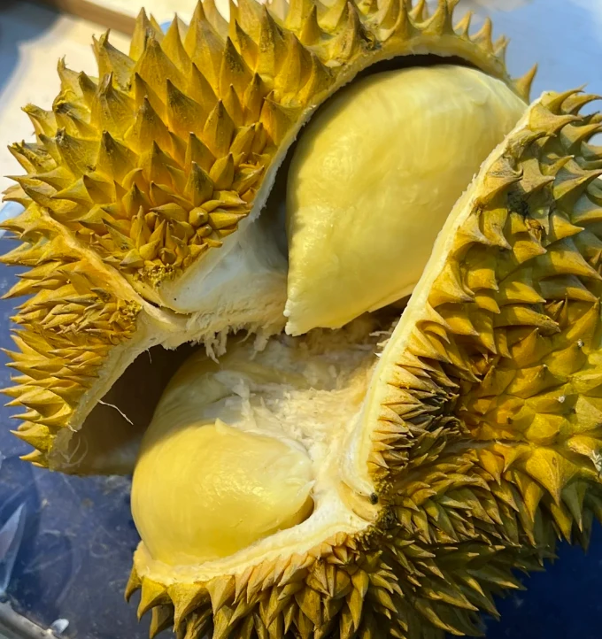 （福利秒杀）东部边境老树金枕 香甜软糯
