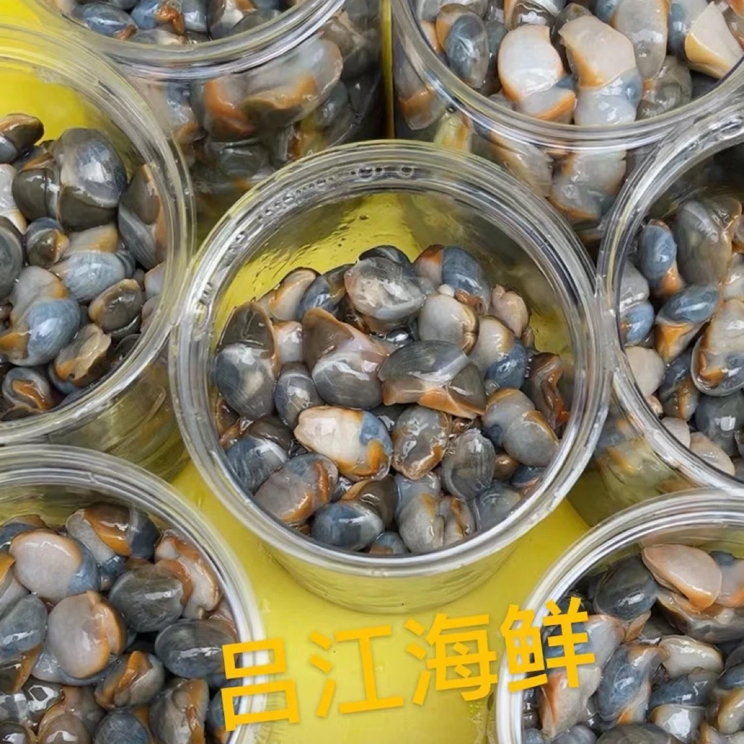 吕四本港无沙黄泥螺黄边泥螺