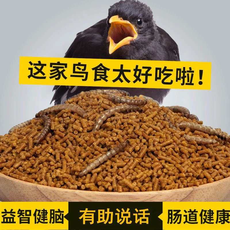 八哥鸟粮 手养亲人 教语 顺丰包邮