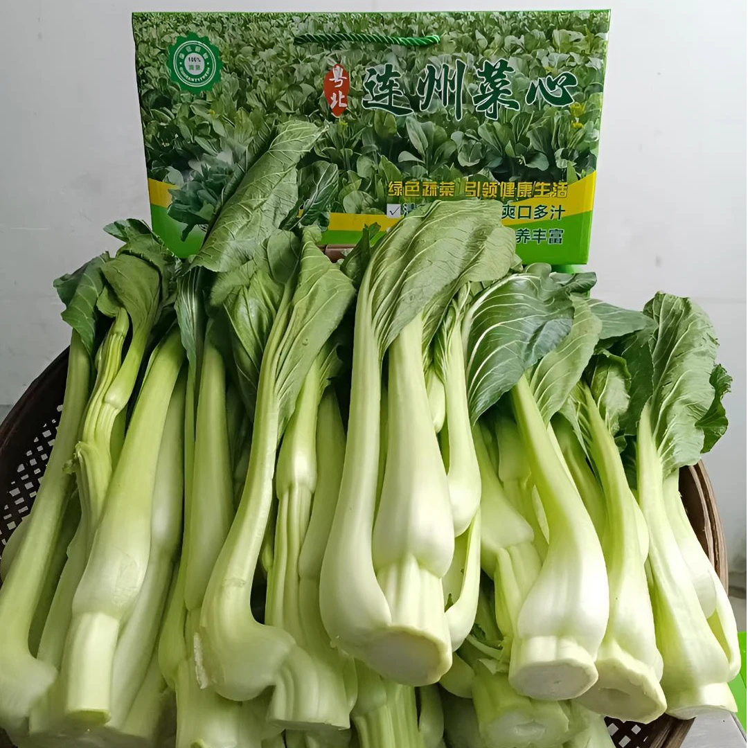 连州迟菜心很甜（温差大）打霜菜心 连州菜心
