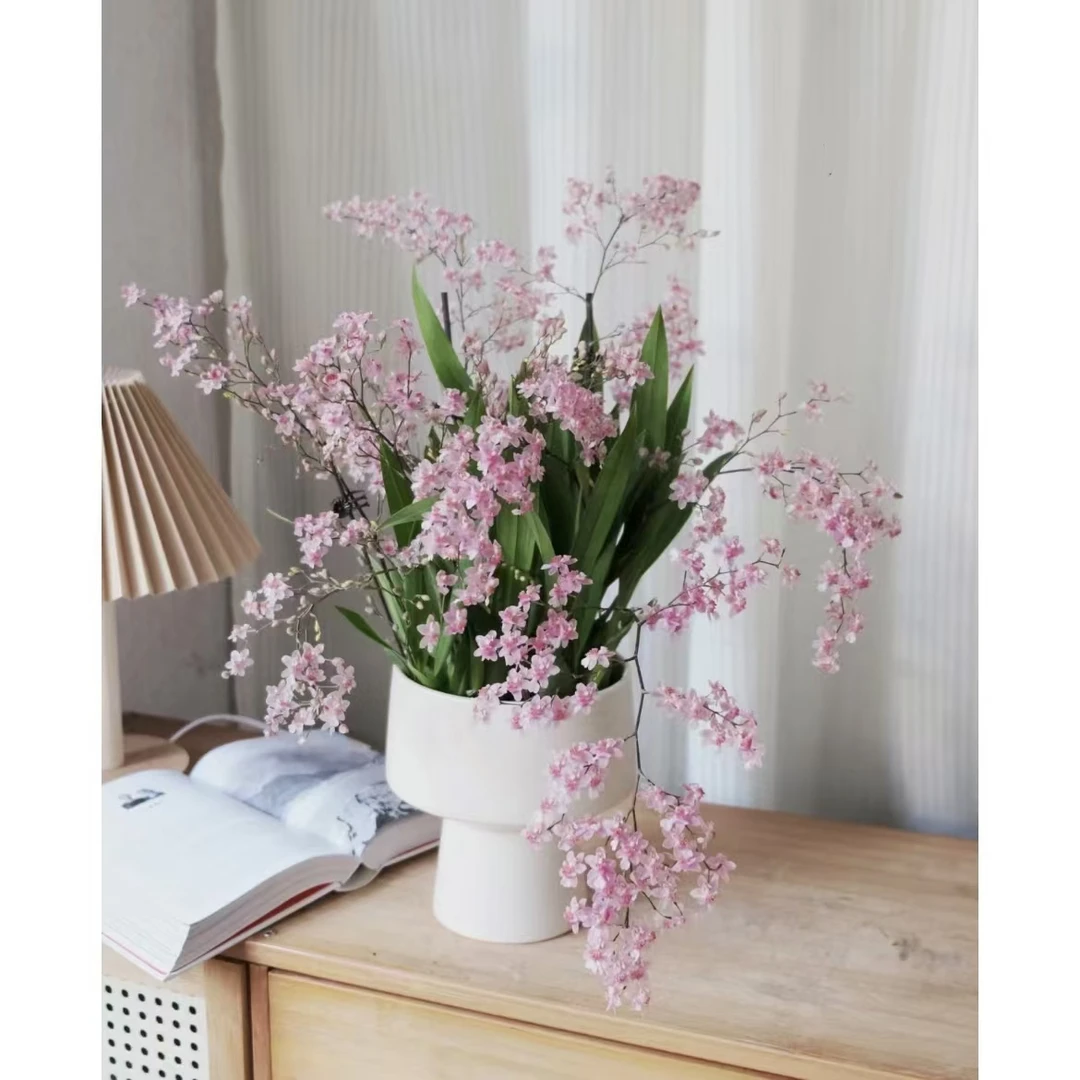 【思芹花卉｜梦香兰盆栽】爆花机器，带香味花材，顺丰空运包邮