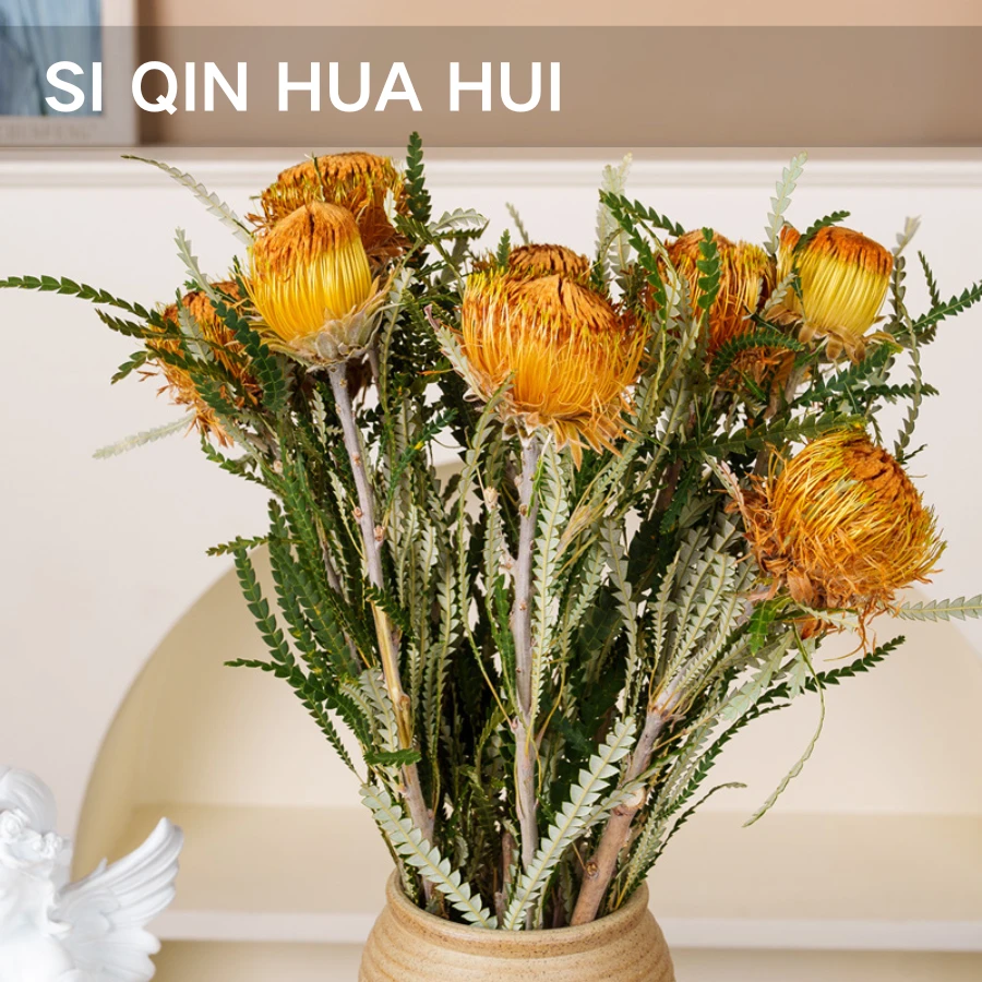【思芹花卉|南非进口黄金佛塔】小众进口花材可做干花顺丰空运