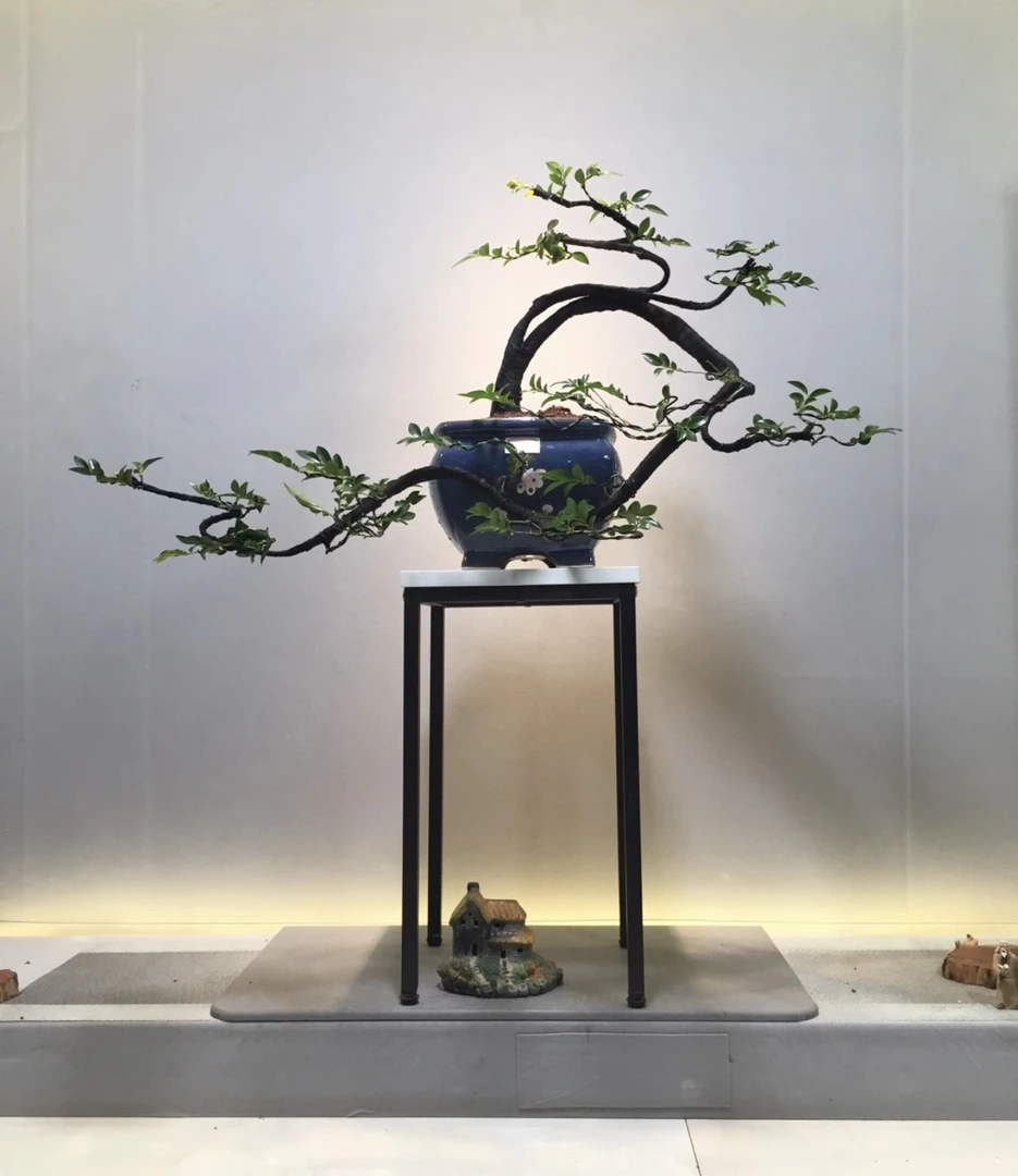 精美艺术造型盆景