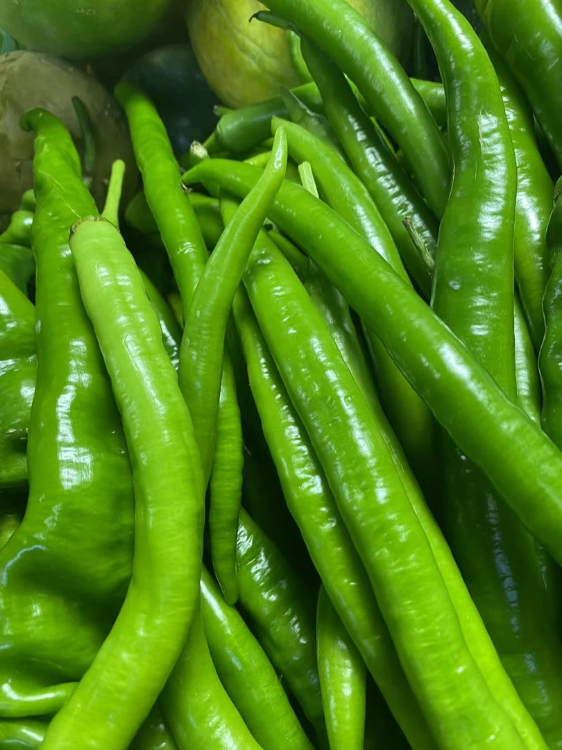 新鲜线椒