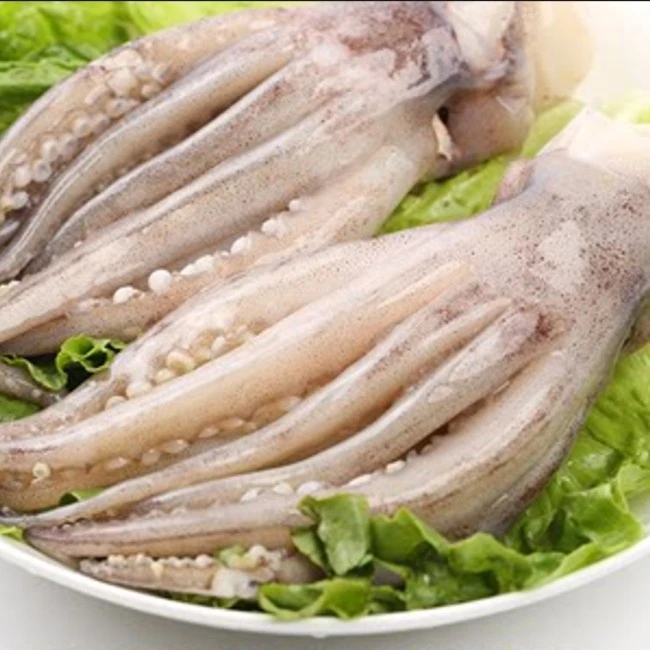 冰鲜鱿鱼须±0.1斤