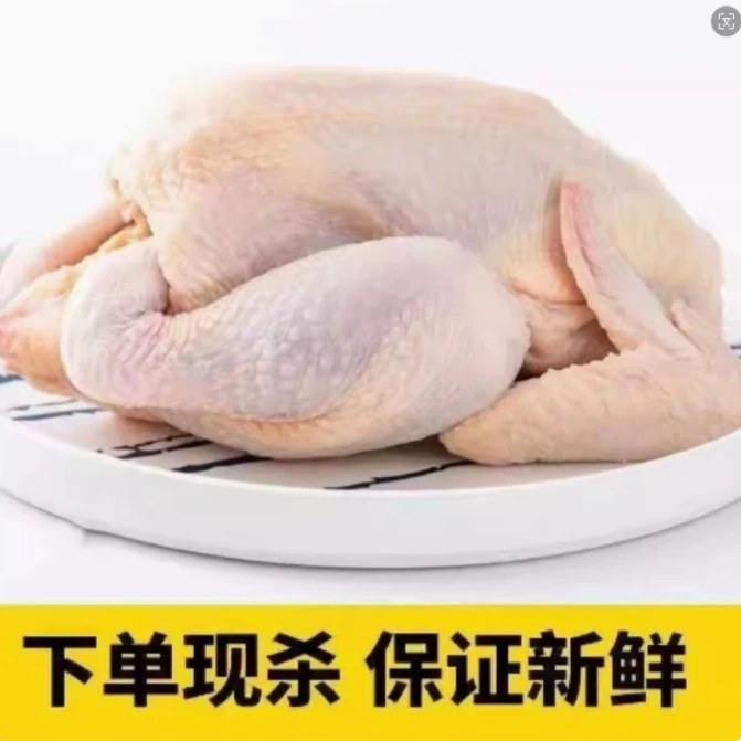 土鸡一只