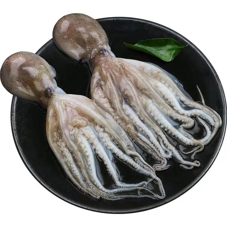 冰鲜八爪鱼