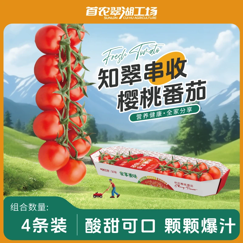 【知翠】串收樱桃番茄现摘新鲜小西红柿车厘串非千禧圣女果