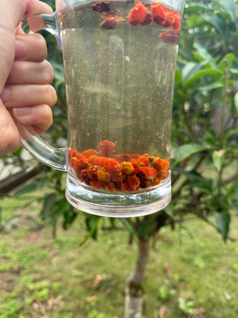 【娜娜推荐】现收土特产红-豆-杉250克--500克-1000克食用农产品