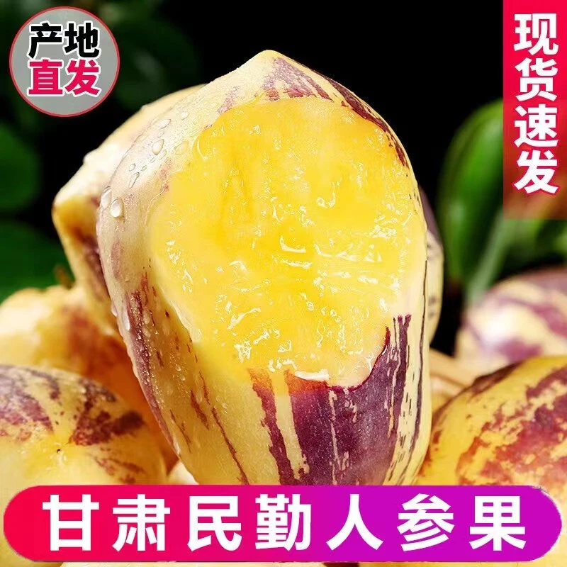 甘肃民勤人参果大果人生果当季新鲜水果应季时令长果孕妇人参果