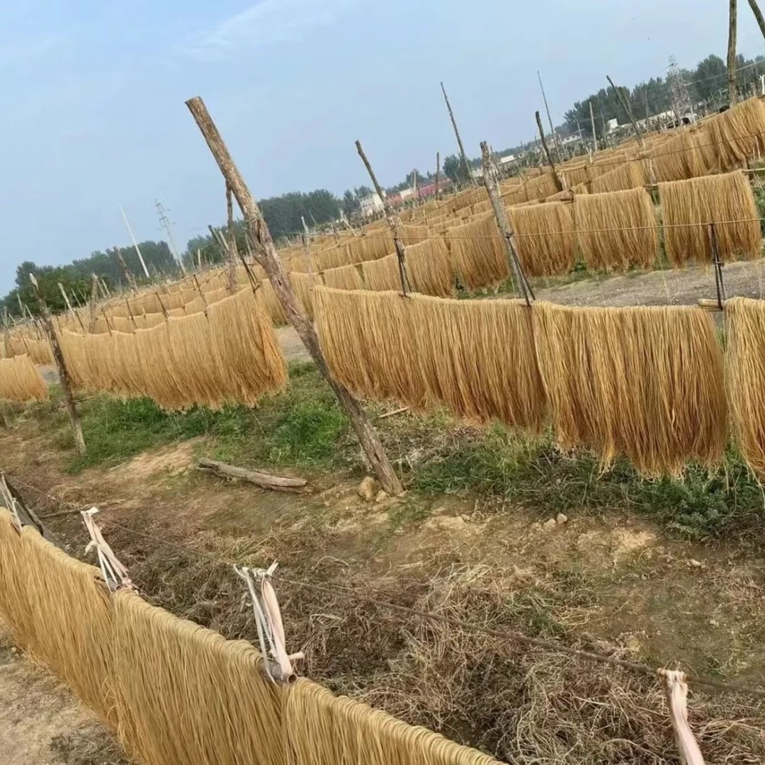 红薯粉条5斤山东特产临沂沟粉条不含胶