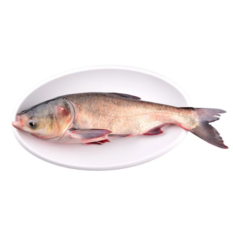 东北冷水胖头鱼（改价链接）