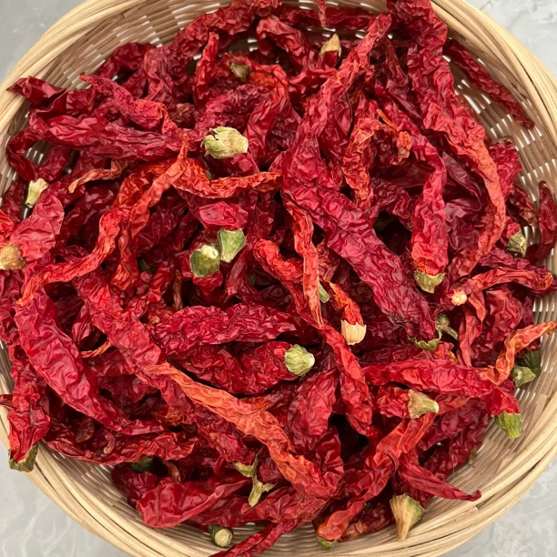 湖南贵州新疆二荆条辣椒微辣特香批发干辣椒正宗小皱皮辣椒农产品