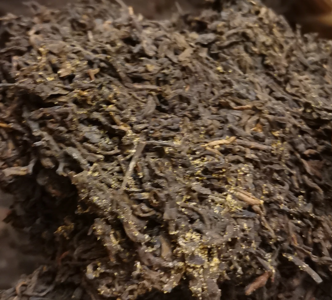 广西梧州六堡茶 窖藏8年陈金花六堡茶（菌香）