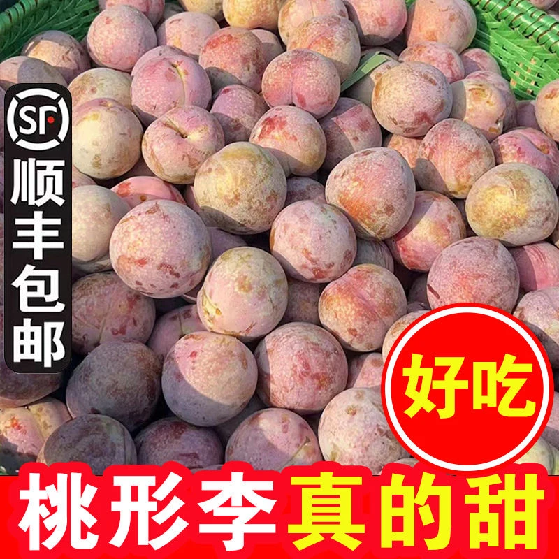 《中果单果20-30g》嵊州桃形李脆甜新鲜水果现摘李子大果礼盒顺丰