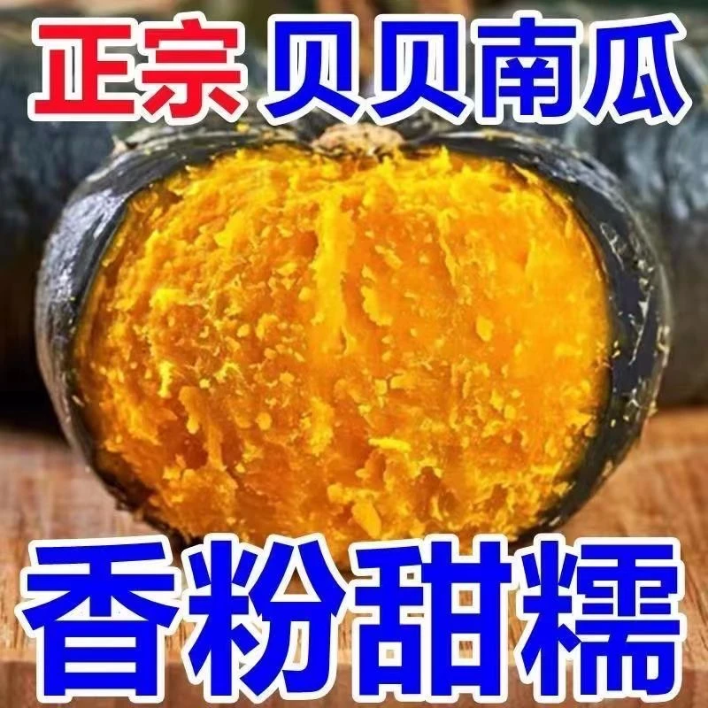 广西爆粉贝贝南瓜 粉面板栗味 新鲜健康农产品 3/4.5斤