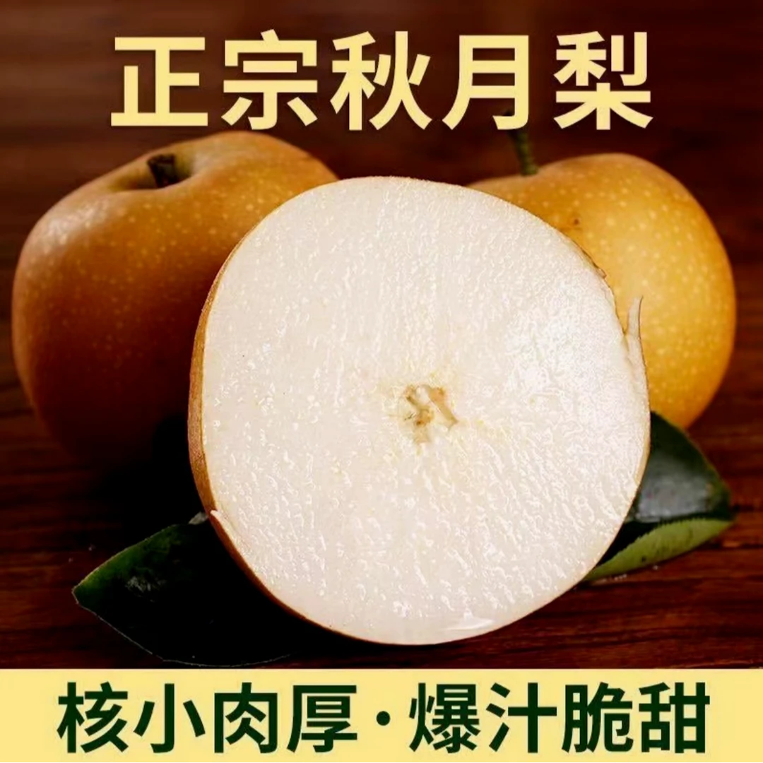 正宗山东秋月梨 皮薄多汁 新鲜香甜 净重4.5斤4-6个
