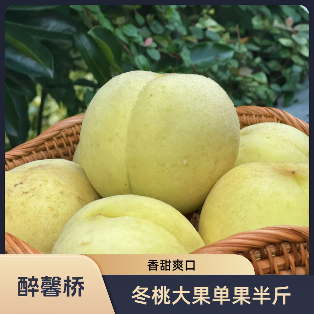 醉馨桥冬桃大果单果半斤
