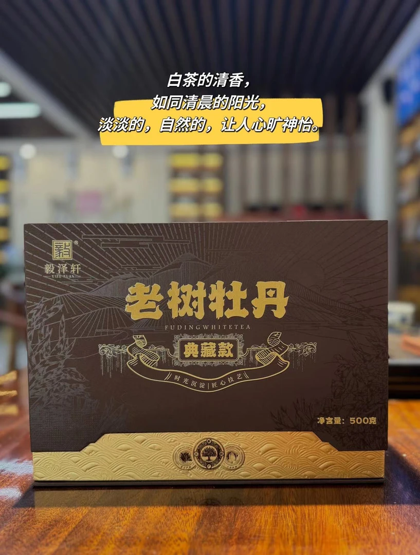 老树白牡丹 （2024年白牡丹）