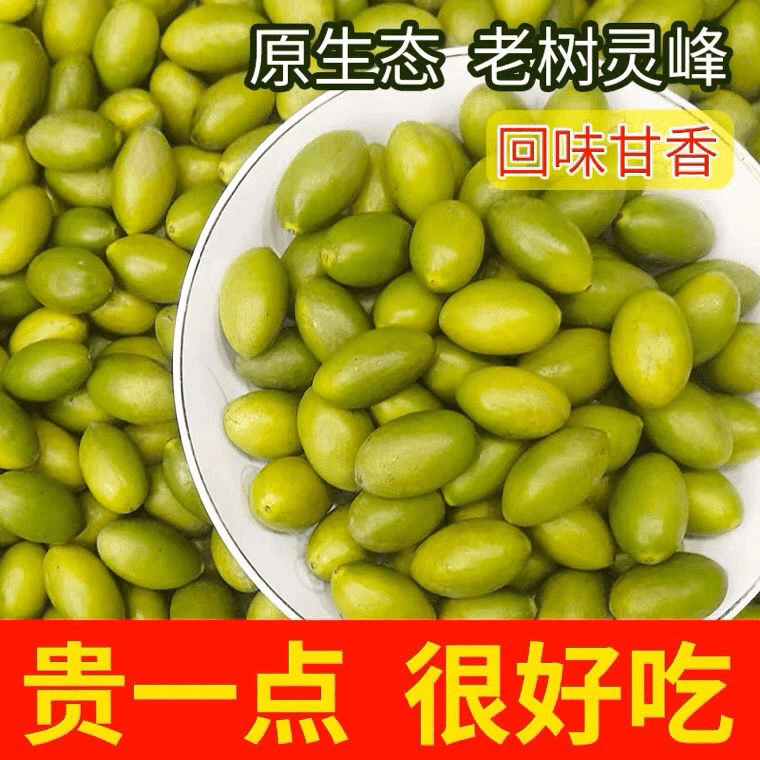 金灶产地直发老树龙丰橄榄营养生吃老人小孩孕妇水果